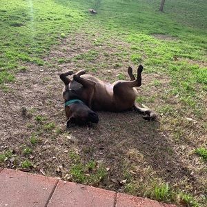 Meet your Posher, Max